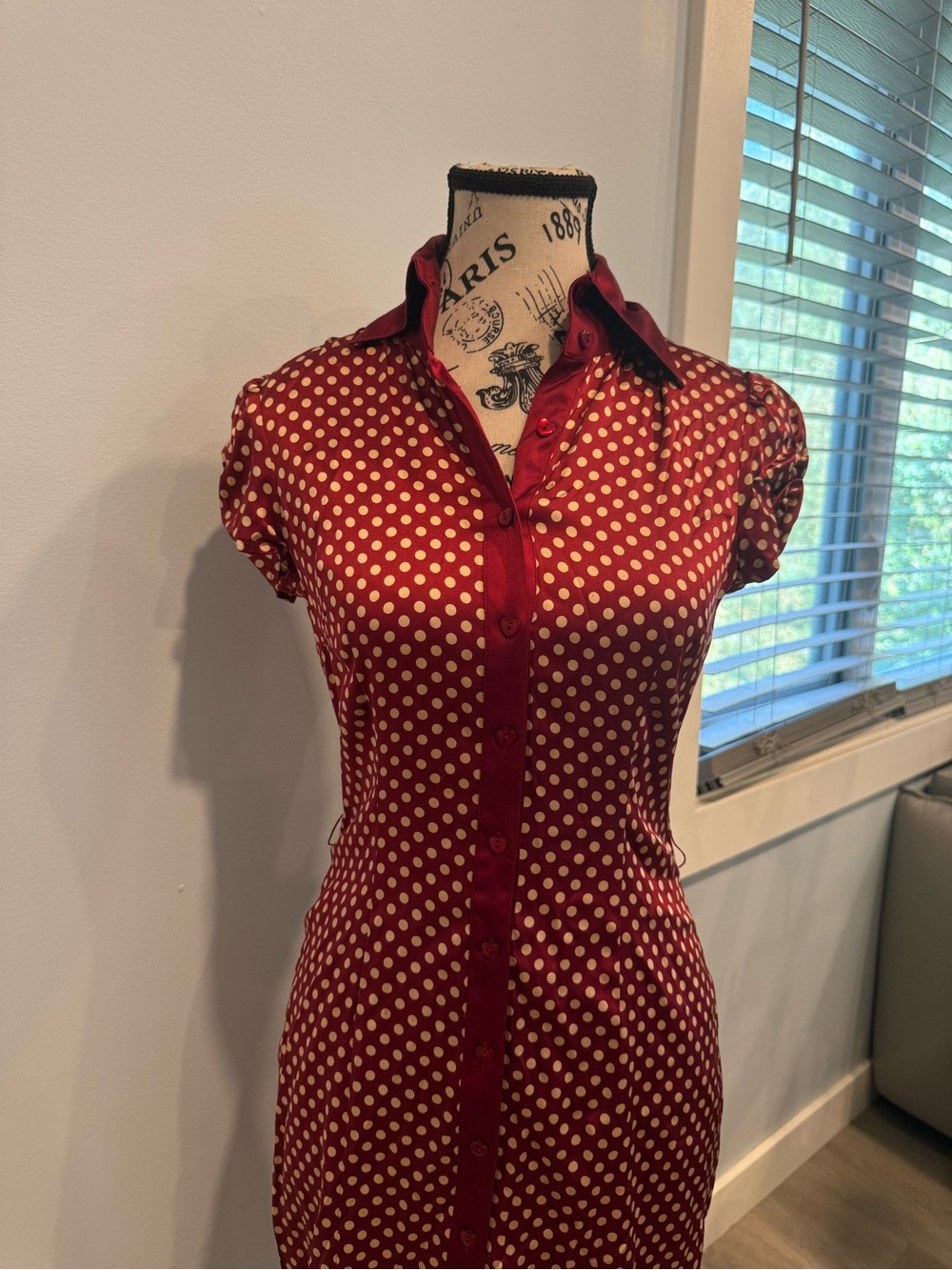 bebe Red with Cream Polka Dot Button-Front Dress